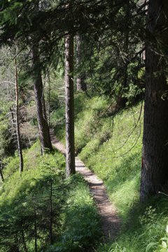 Single-Trail nach Gießenbach (Teil des Rückwegs nach Scharnitz)